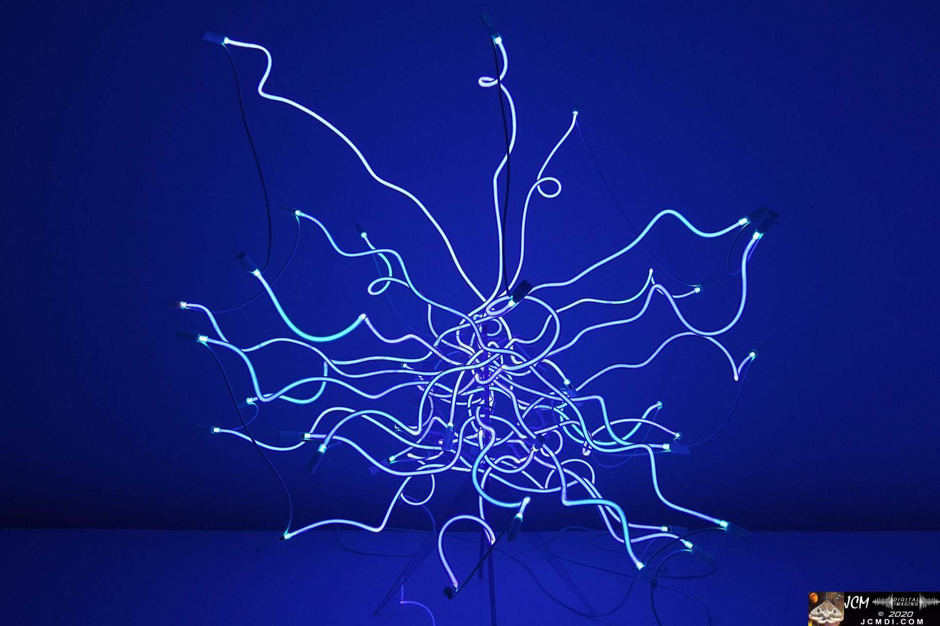 20200930 CheekWood Chihuly - neon light sculptures